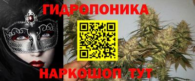 spice Кинель