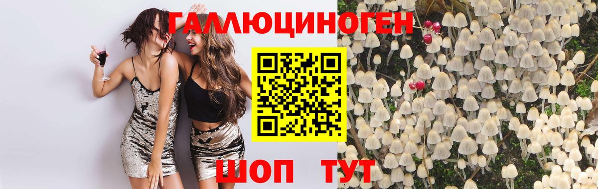 где купить   Галлюциногенные грибы прущие грибы  Псилоцибиновые грибы Psilocybine cubensis  Вход с VPN  Кубинка 
